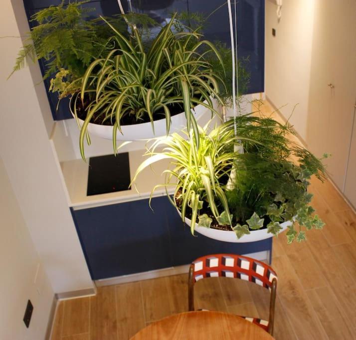 Apartamento Por Temporada Centro Diseno 马德里 外观 照片