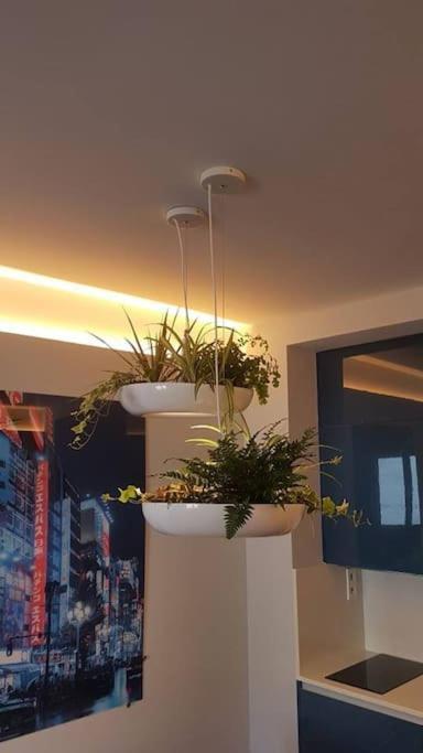 Apartamento Por Temporada Centro Diseno 马德里 外观 照片