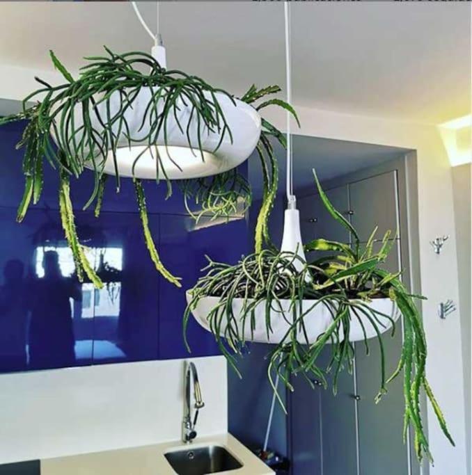 Apartamento Por Temporada Centro Diseno 马德里 外观 照片